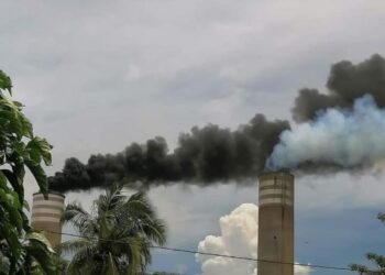 Hay 200 casos de cáncer en Petacalco en 2024, asegura líder pesquero