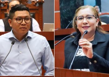 ANALIZAN IMPONER PENAS DE 6 MESES A 2 AÑOS DE PRISIÓN CONTRA QUIENES ROBEN MASCOTAS