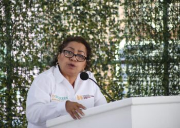 En Guerrero trabajamos con instancias gubernamentales y organizaciones sociales para que las mujeres puedan vivir libres de violencia: Violeta Pino