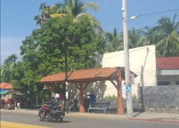 Transporte estatal y tránsito municipal aplican reordenamiento en paradas 