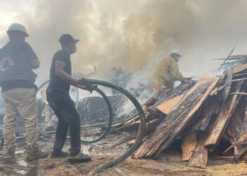 Incendio consume aserradero en Los Laureles, Tecpan de Galeana
