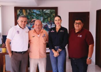 Transporte Violeta en Zihuatanejo iniciaría a mediados de año