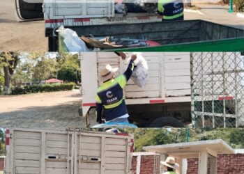 CEASII trabaja para mantener la imagen urbana de Ixtapa