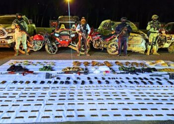 FGEGuerrero, Defensa, GN, SSyPC y SSPGro, aseguran armas, drogas y vehículos en operativo interinstitucional en la region centro