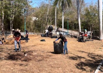 CEASII comienza rehabilitación del Parque Los Amates en Ixtapa