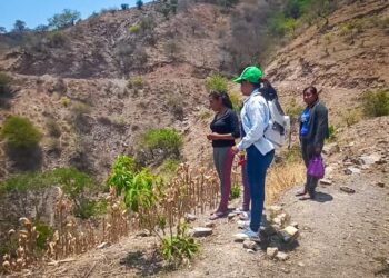 En Guerrero se promueve la agricultura sustentable sin quema para cuidar el suelo y el aire