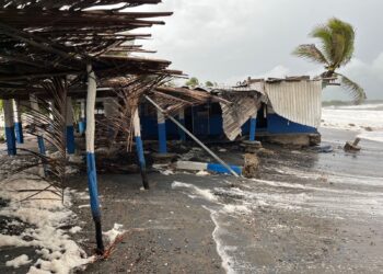 Sin apoyo estatal enramaderos afectados por tormenta Dalila en La Unión