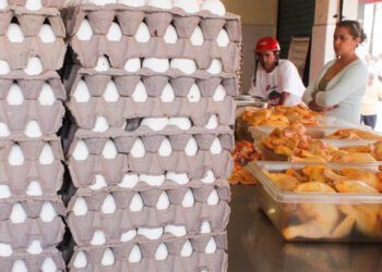 Escasea el pollo y huevo en Zihuatanejo; los precios sobre las nubes denuncian amas de casa