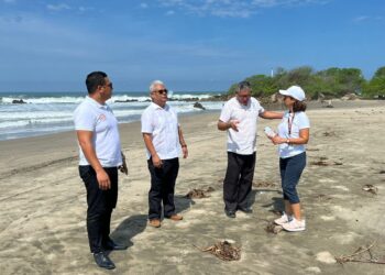 Ya se analiza la posibilidad de agregar una playa incluyente en La Unión