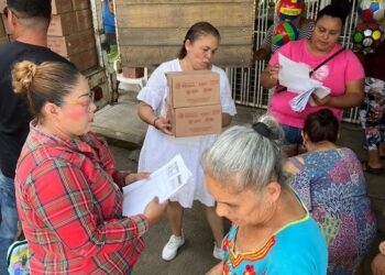 Entrega DIF Municipal despensas a familias vulnerables en La Unión