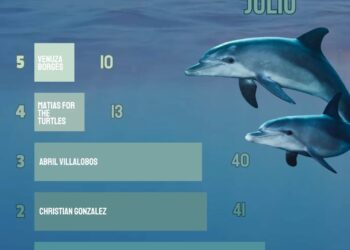 Reconocen a joven de Playa Troncones por su labor en protección de tortugas