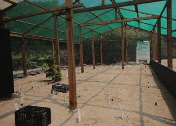 Personal Naval participó en la inauguración del “Campamento Tortuguero para la protección especial de la Tortuga Carey”