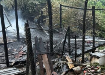 Incendio consume vivienda en Ampliación Nuevo Milenio; familia necesita apoyo