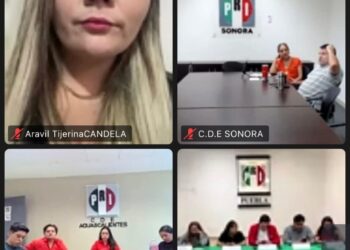 Destaca Alejandro Bravo liderazgo digital en encuentro nacional del Movimiento PRImx