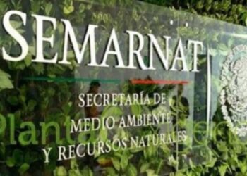 Cierre de oficinas de SEMARNAT en Costa Grande afecta a pescadores, se quejan en Petacalco