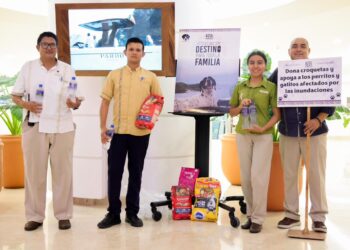 Lanza Hoteles Azul Ixtapa colecta de alimento y agua para animales afectados por las lluvias
