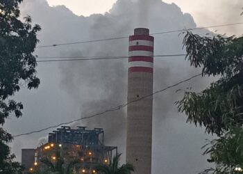 Recurrentes incendios en la termoeléctrica de Petacalco alarman a pobladores