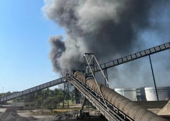 Pescadores de Petacalco se reunirán con la CFE para exigir atención a la contaminación y afectaciones de la termoeléctrica