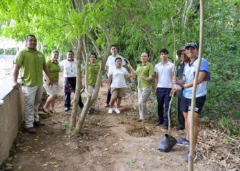 Suma Hoteles Azul Ixtapa nueva repoblación de mangle botoncillo en reserva y playa