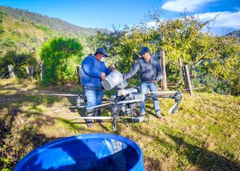 Sagadegro mantiene en 2026 el Servicio de Aspersión Aérea No Tripulada en Guerrero