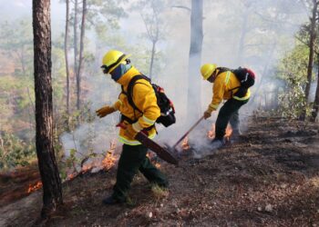 Guerrero refuerza capacitación y tecnología ante temporada de incendios forestales 2026