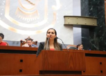 PIDE DIPUTADA A AYUNTAMIENTOS MODERNIZAR REGLAMENTOS DE TRÁNSITO Y VIALIDAD