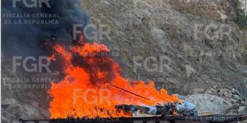 RESULTADOS DE FGR EN EL ESTADO DE GUERRERO DURANTE EL MES DE ENERO DE 2026