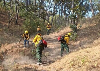 SGIRPCGRO realiza trabajos de prevención de incendios forestales en Guerrero