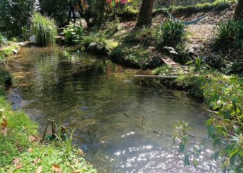 Se impulsa unidades de productores acuícolas en Leonardo Bravo a través de la SAGADEGRO