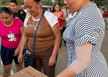 Gobierno de La Unión a través del DIF entrega despensas a familias de seis comunidades
