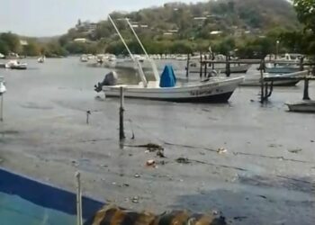 Urgen desazolvar laguna Las Salinas; Dragado no funcionó, señalan pescadores