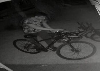 Reportan robos en fraccionamiento Flamingos