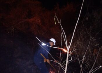 Marina brinda apoyo para combatir un incendio en Zihuatanejo de Azueta