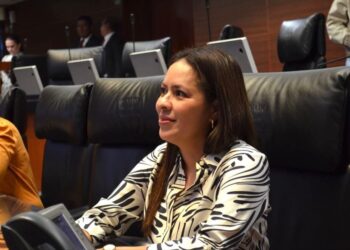 Celebra Karen Castrejón avances en la agenda legislativa del Senado