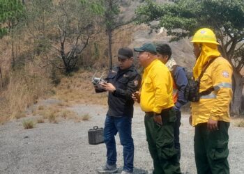Se atienden de manera coordinada siete incendios forestales en Guerrero