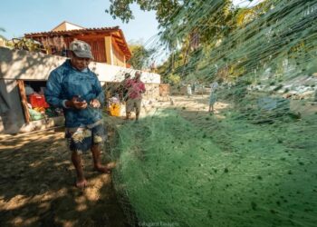 Reportan estabilidad en producción y precios de pescados y mariscos durante la Cuaresma en Zihuatanejo.