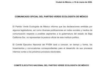 Será el Comité Nacional el que dicte los lineamientos del Verde rumbo al 2027