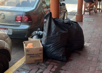 Sin basureros, crece problema de basura en el centro de Zihuatanejo