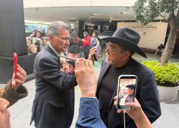 Cada partido asumirá el costo político de su voto, puntualiza Félix Salgado sobre el Pan B