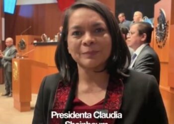 Apoyará sin titubeos el plan B de Sheinbaum, indica Beatriz Mojica