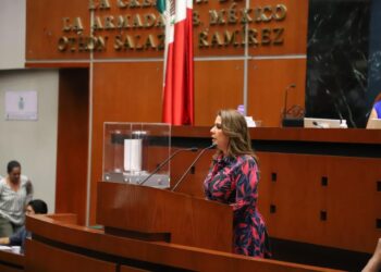 PRESENTA DIPUTADA LA INICIATIVA “LEY SILLA” EN GUERRERO