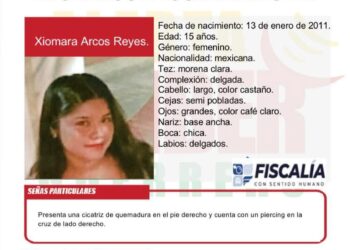 Activan Alerta Amber por desaparición de menor en Zihuatanejo