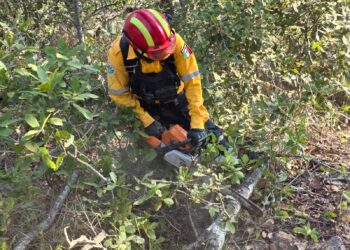 La SGIRPCGRO realiza trabajos de sofocación en nueve incendios forestales en Guerrero