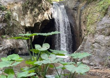 Se llena de visitantes en Semana Santa Cascadas de Mesas de Bravo
