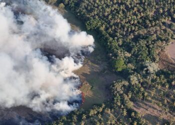 Aumentan incendios en Zihuatanejo; suman 43 siniestros en la temporada: Protección Civil