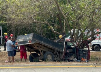 Hombre queda prensado tras chocar contra árbol