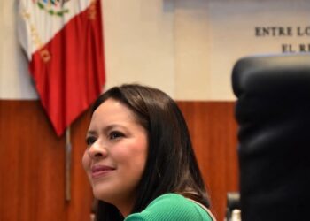 Avanza en el Senado el derecho a una vivienda digna, indica Karen Castrejón