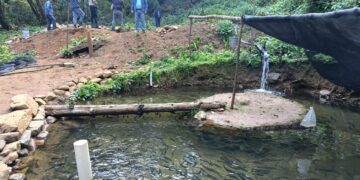 Impulsa Sagadegro producción de trucha arcoiris en la comunidad serrana de Puerto del Gallo