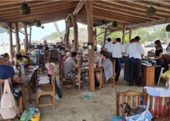 Empresarios de Riviera Troncones–La Saladita exigen solución urgente a fallas de telefonía y energía eléctrica