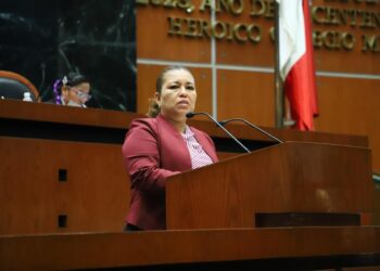DIPUTADA PIDE A MUNICIPIOS GARANTIZAR DESCUENTOS Y TARIFAS PREFERENCIALES DE TRANSPORTE PARA PERSONAS ADULTAS MAYORES